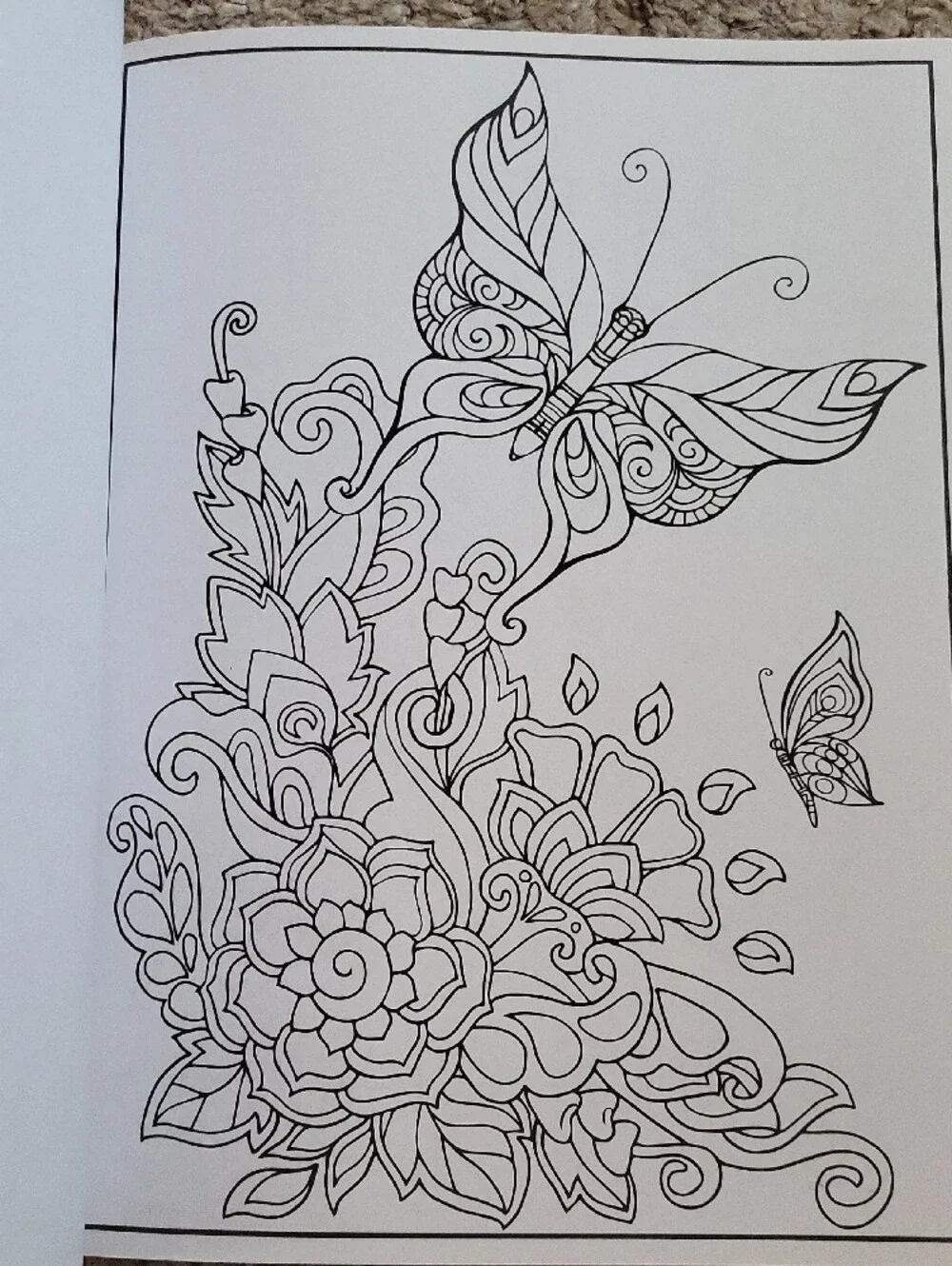 Cra-Z-Art's Timeless Creations Coloring Books - Set Of 3